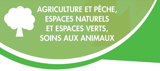 Agriculture et pêche, espaces naturels et espaces verts, soins aux animaux